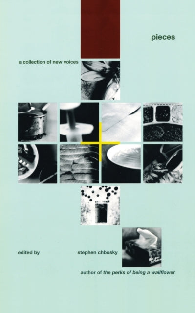 Book cover of: Pieces