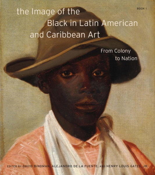 Book cover of: The Image of the Black in Latin American and Caribbean Art. By: David Bindman