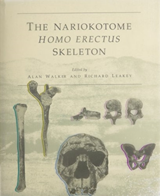 Book cover of: Nariokotome Homo erectus Skeleton