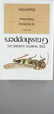 Book cover of: The North American Grasshoppers. By: Daniel Otte