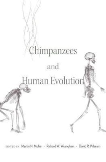 Book cover of: Chimpanzees and Human Evolution. By: Martin N. Muller