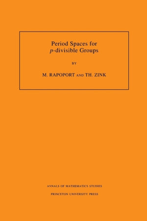 Period Spaces for p-divisible Groups
