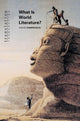 Book cover of: What Is World Literature?