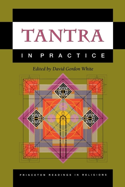 Book cover of: Tantra in Practice