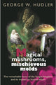 Book cover of: Magical Mushrooms, Mischievous Molds