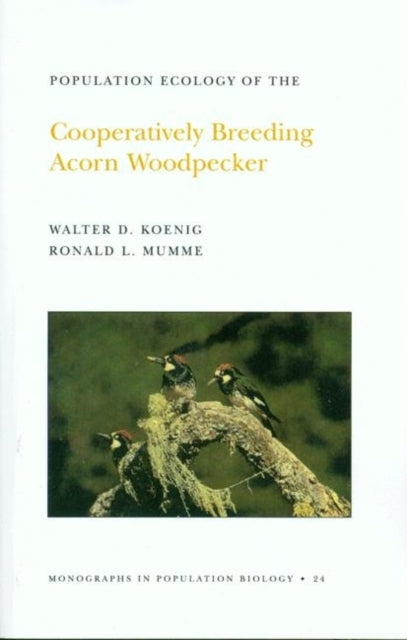 Book cover of: Population Ecology of the Cooperatively Breeding Acorn Woodpecker