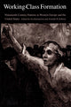 Book cover of: Working-Class Formation