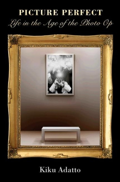 Book cover of: Picture Perfect. By: Kiku Adatto