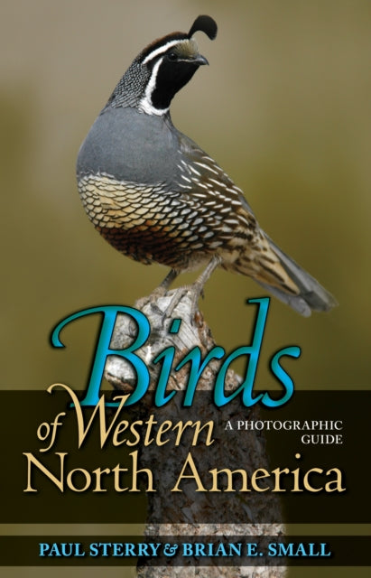 Book cover of: Birds of Western North America. By: Paul Sterry
