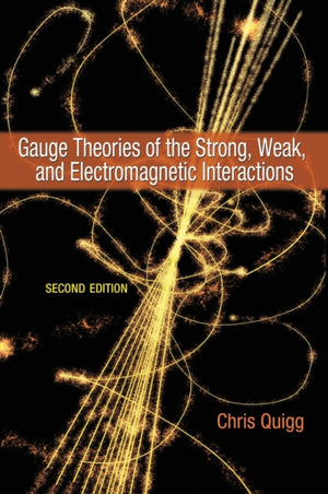 Gauge Theories of the Strong, Weak, and Electromagnetic Interactions