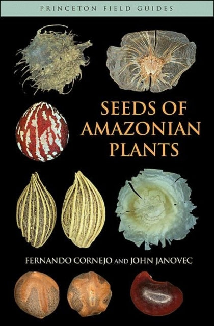 Book cover of: Seeds of Amazonian Plants. By: Fernando Cornejo