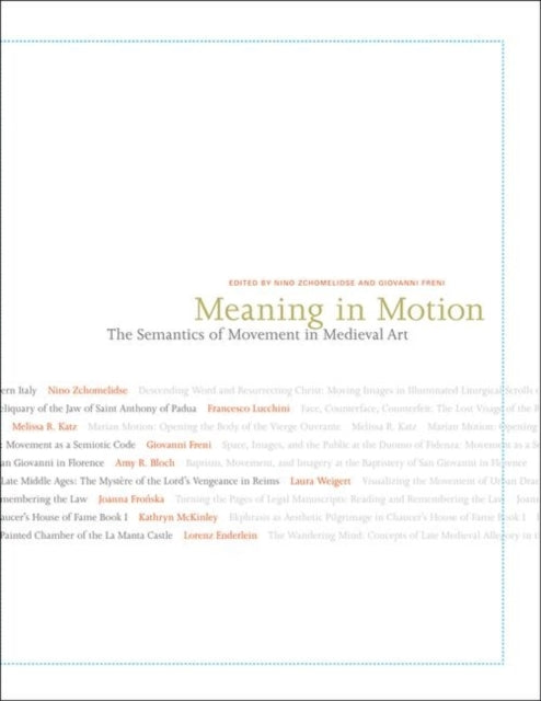 Book cover of: Meaning in Motion. By: Nino M. Zchomelidse