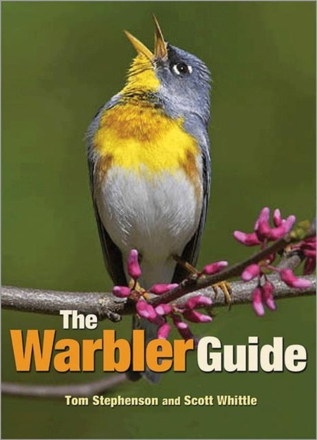 Book cover of: Warbler Guide. By: Stephenson, Tom (Musician)
