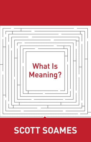 What Is Meaning?