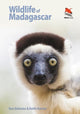 Madagaskari elusloodus