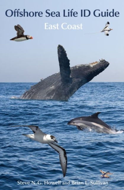 Book cover of: Offshore Sea Life ID Guide. By: Steve N. G. Howell