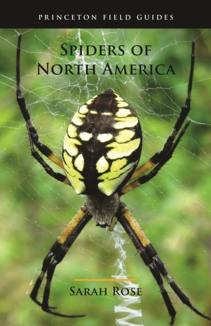 Book cover of: Spiders of North America. By: Sarah Rose