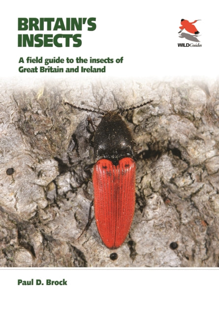 Book cover of: Britain's Insects