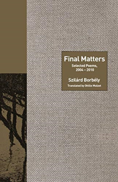Book cover of: Final Matters. By: Szilárd Borbély