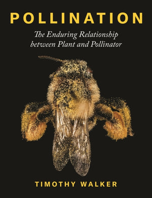 Pollination