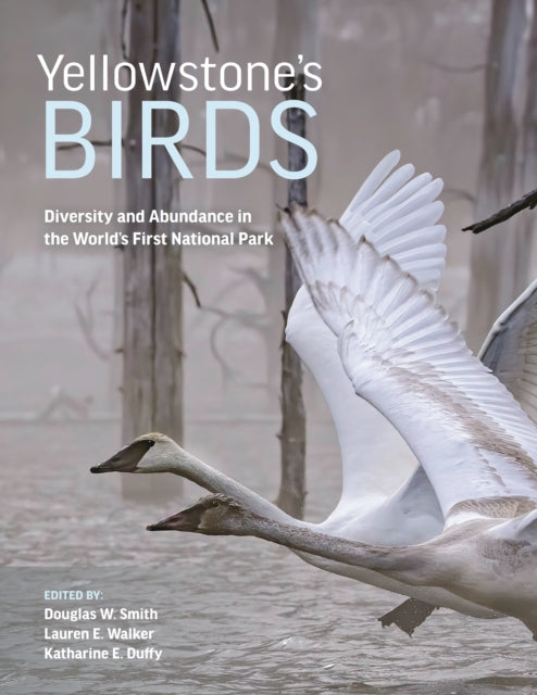 Book cover of: Yellowstone’s Birds. By: Douglas W. Smith