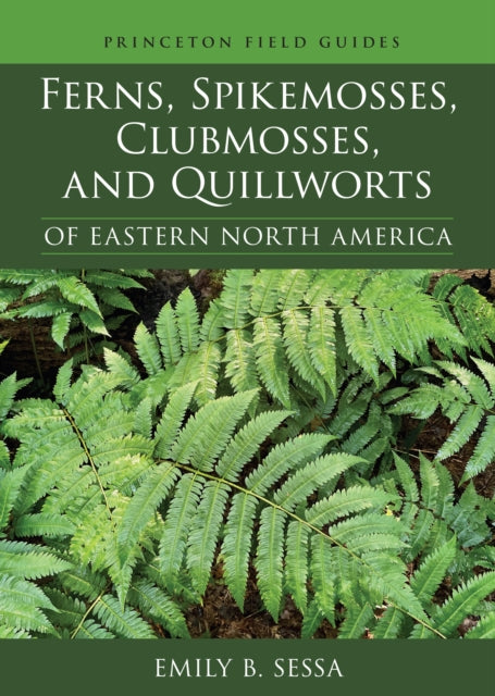 Book cover of: Ferns, Spikemosses, Clubmosses, and Quillworts of Eastern North America. By: Emily Sessa