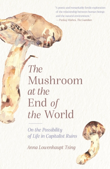 Mushroom at the End of the World, On the Possibility of Life in Capitalist Ruins 9780691220550 Anna Lowenhaupt Tsing