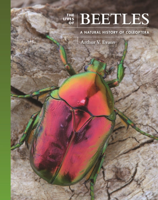 Book cover of: Lives of Beetles. By: Arthur V. Evans