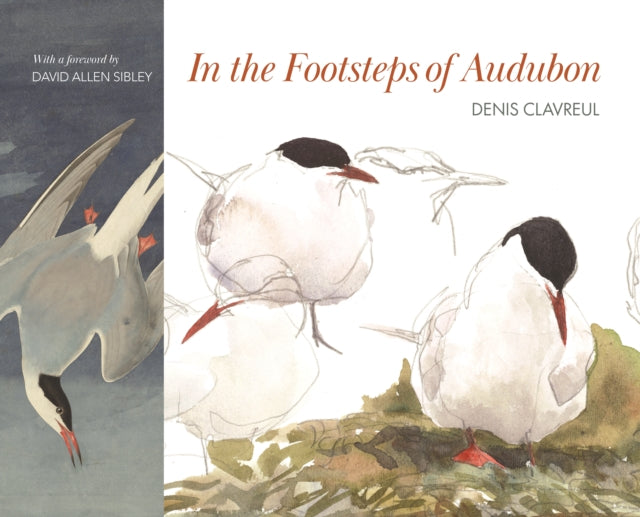 Book cover of: In the Footsteps of Audubon. By: Denis Clavreul