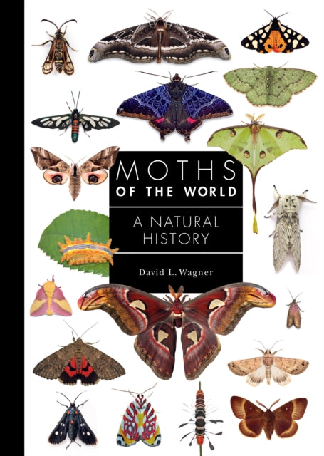 Book cover of: Moths of the World. By: David Wagner