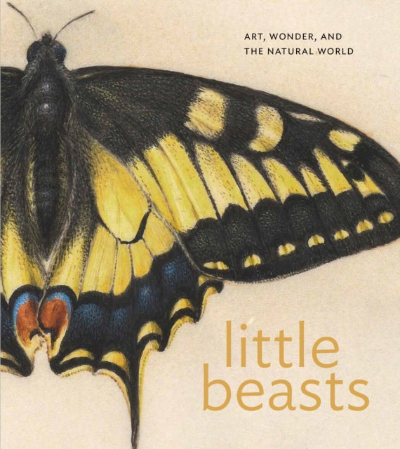 Book cover of: Little Beasts. By: Alexandra Libby