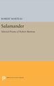 Book cover of: Salamander. By: Robert Marteau