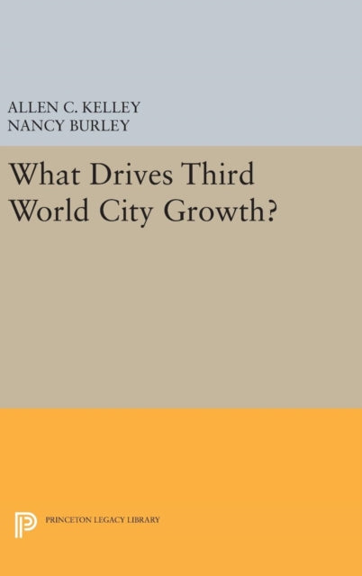 Book cover of: What Drives Third World City Growth?. By: Allen C. Kelley