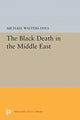 Book cover of: Black Death in the Middle East. By: Michael Walters Dols