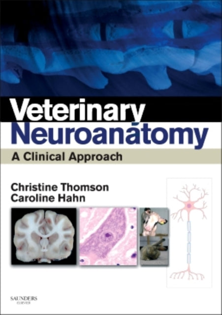 Veterinaarne neuroanatoomia