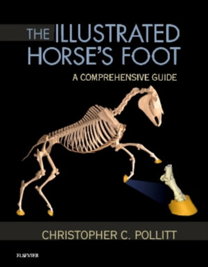 Illustrated Horse's Foot