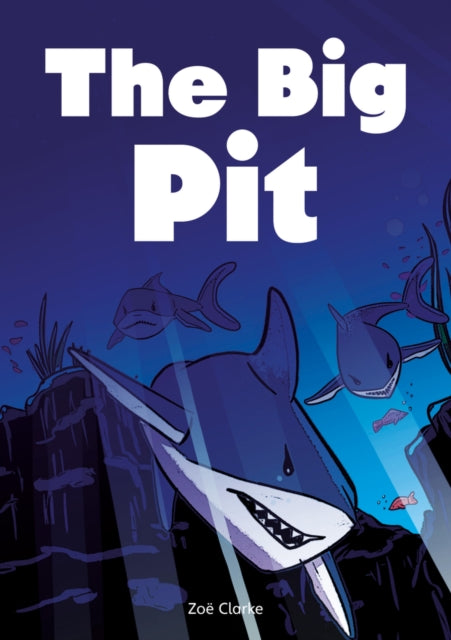Book cover of: Big Pit (Set 03)