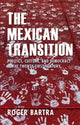 Book cover of: Mexican Transition