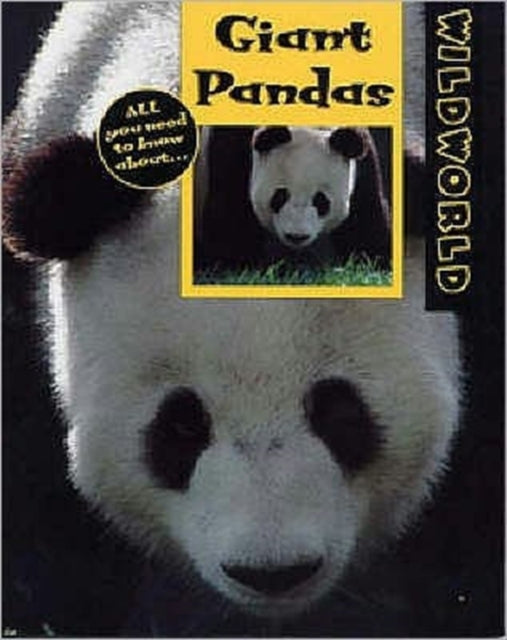 Hiiglaslikud pandad