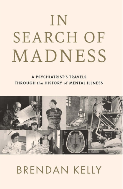 Book cover of: In Search of Madness. By: Brendan Kelly