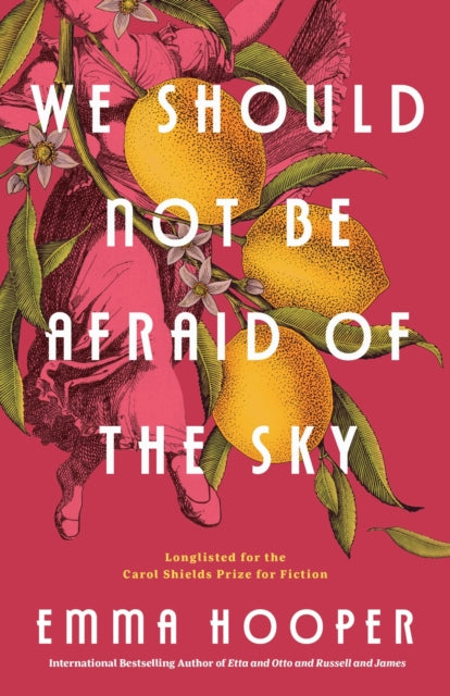 Book cover of: We Should Not Be Afraid of the Sky. By: Emma Hooper