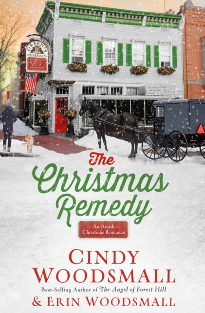 Book cover of: Christmas Remedy: An Amish Christmas Romance. By: Cindy Woodsmall