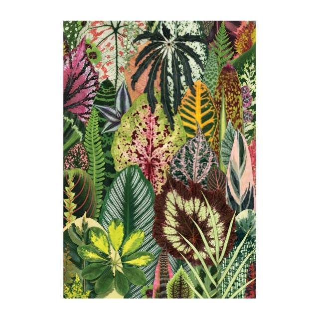 Book cover of: Houseplant Jungle A5 Journal. By: Galison