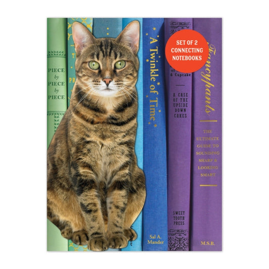 Book cover of: Queen of the Stacks Connecting Notebook Set