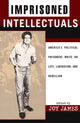 Book cover of: Imprisoned Intellectuals. By: Joy James