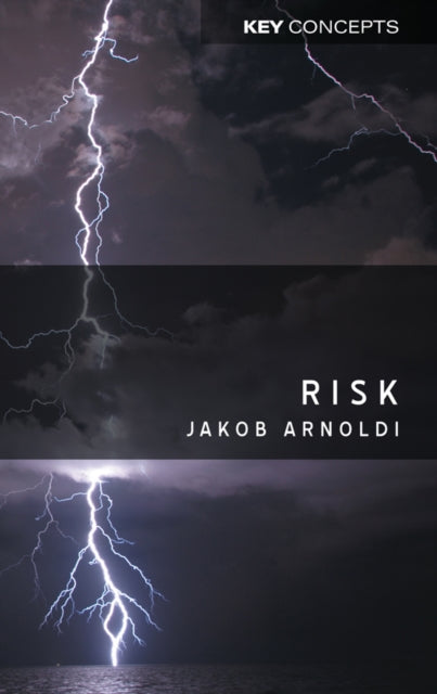 Book cover of: Risk