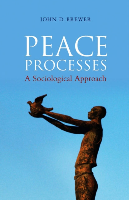 Book cover of: Peace Processes. By: John D. Brewer