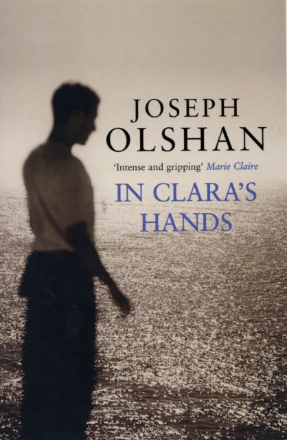 Book cover of: In Clara's Hands