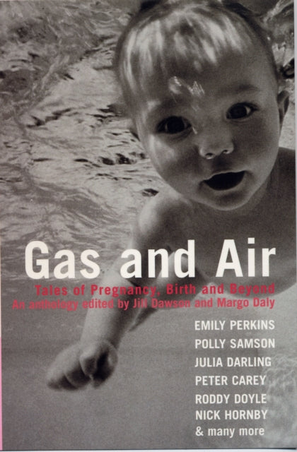Book cover of: Gas and Air. By: Jill Dawson
