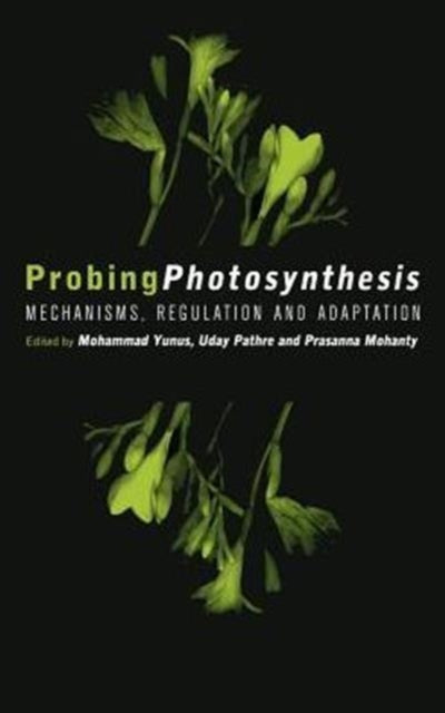 Book cover of: Probing Photosynthesis